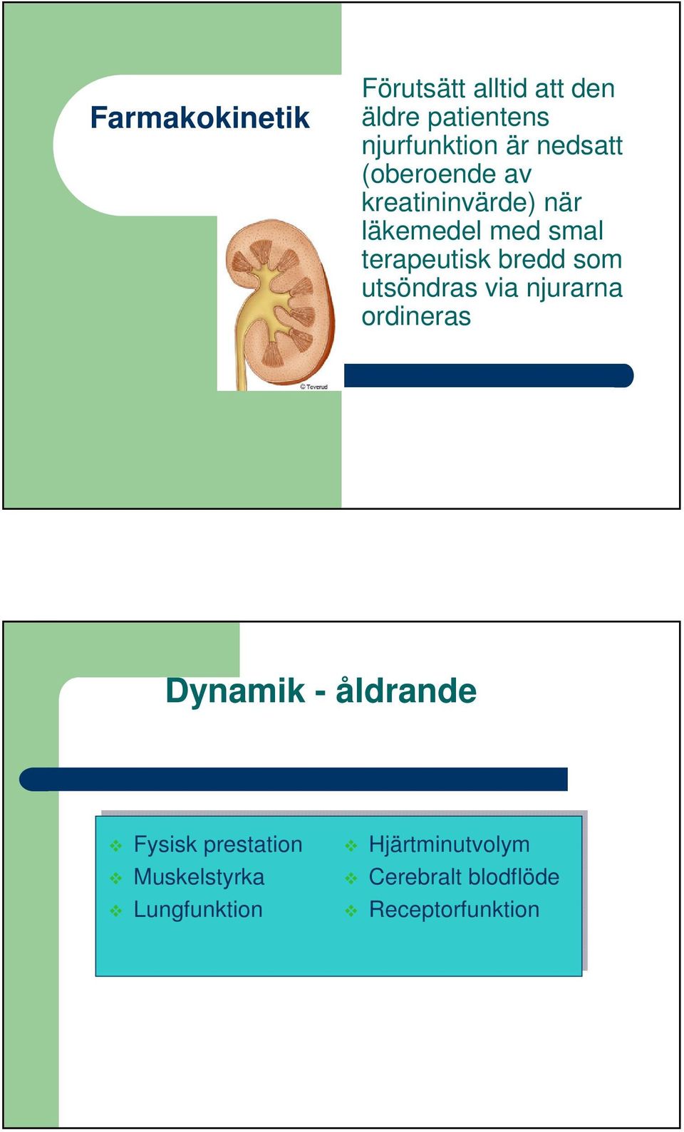 bredd som utsöndras via njurarna ordineras Dynamik - åldrande Fysisk