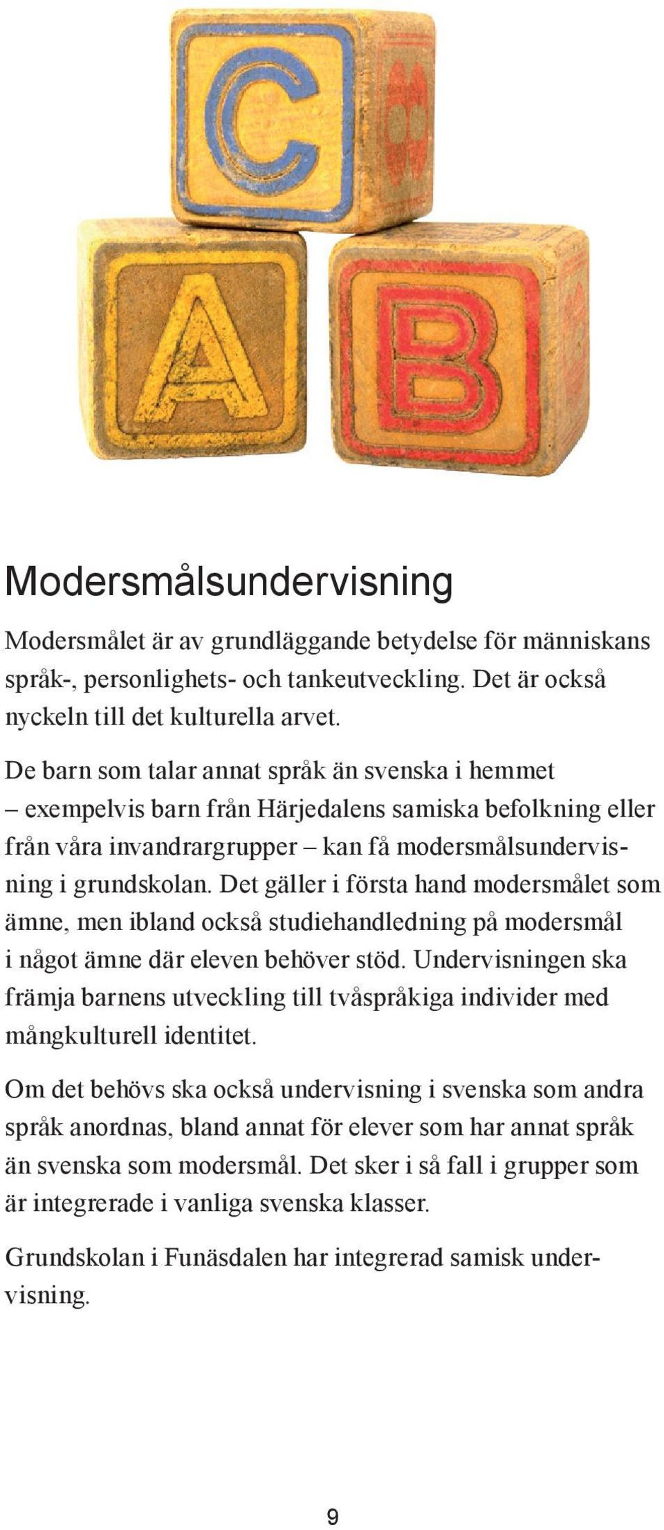 Det gäller i första hand modersmålet som ämne, men ibland också studiehandledning på modersmål i något ämne där eleven behöver stöd.