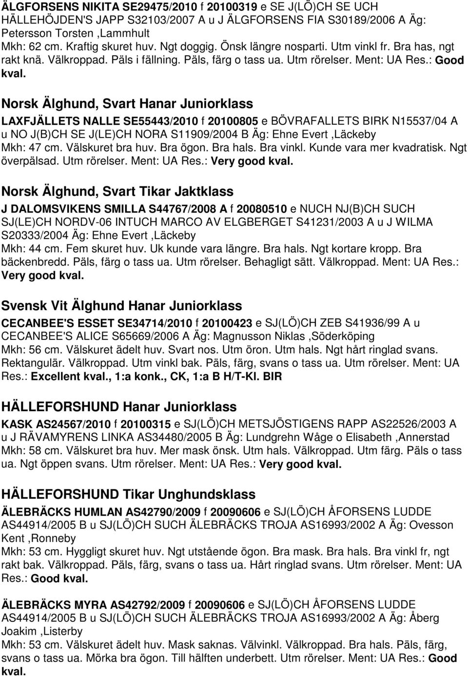 Norsk Älghund, Svart Hanar Juniorklass LAXFJÄLLETS NALLE SE55443/2010 f 20100805 e BÖVRAFALLETS BIRK N15537/04 A u NO J(B)CH SE J(LE)CH NORA S11909/2004 B Äg: Ehne Evert,Läckeby Mkh: 47 cm.