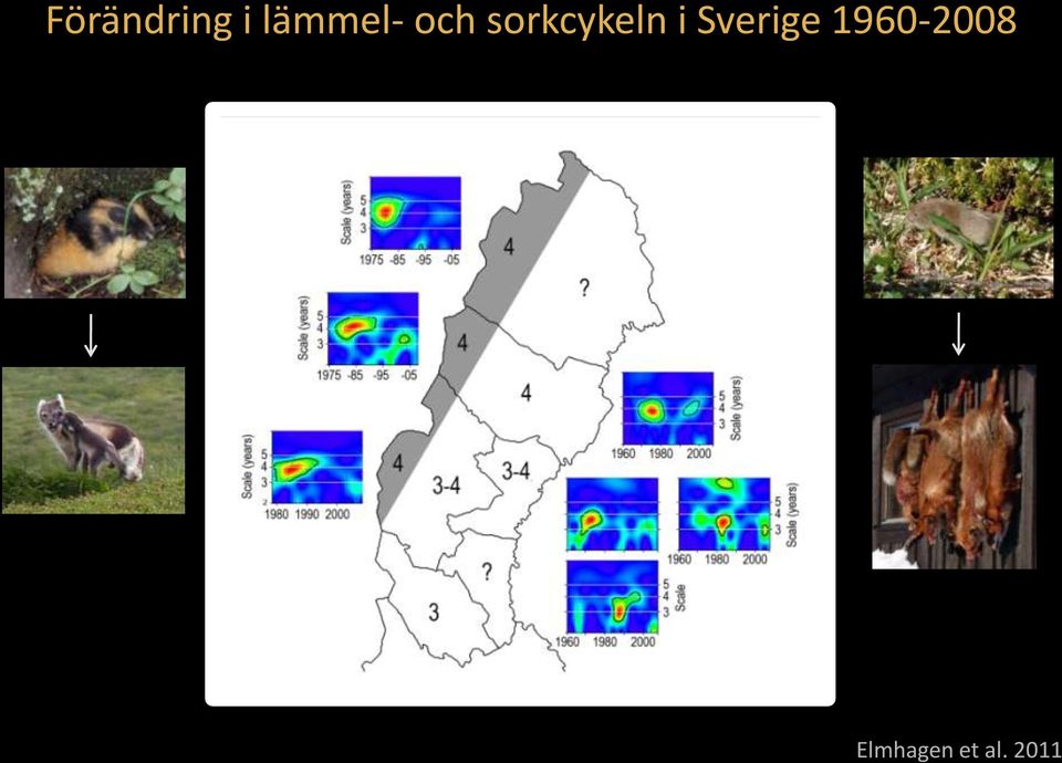 sorkcykeln i