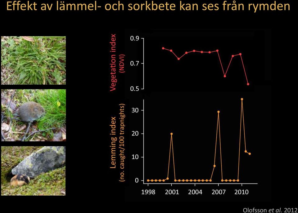 ses från rymden