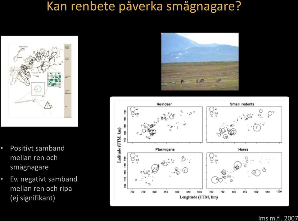 Positivt samband mellan ren och