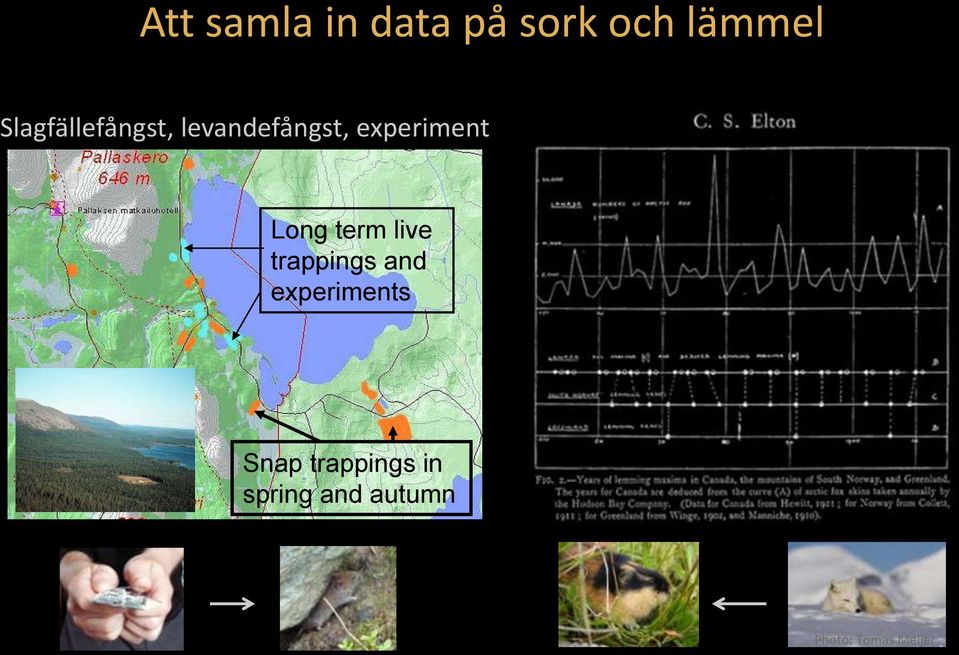 Long term live trappings and experiments