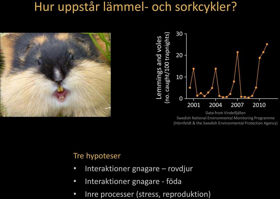 Programme (Hörnfeldt & the Swedish Environmental Protection Agency)