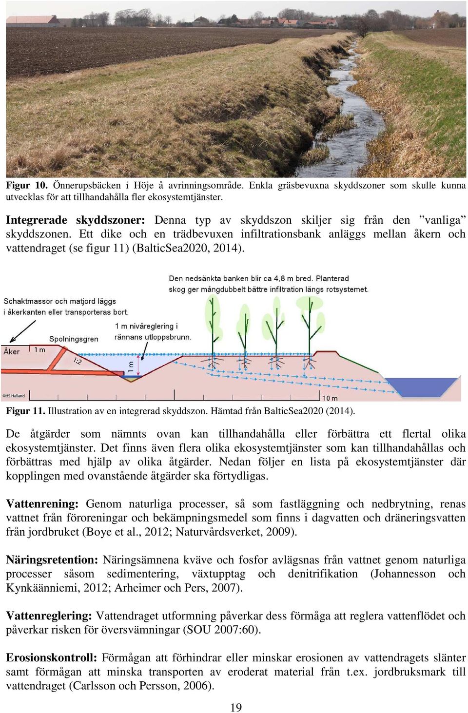 Ett dike och en trädbevuxen infiltrationsbank anläggs mellan åkern och vattendraget (se figur 11) (BalticSea2020, 2014). Figur 11. Illustration av en integrerad skyddszon.
