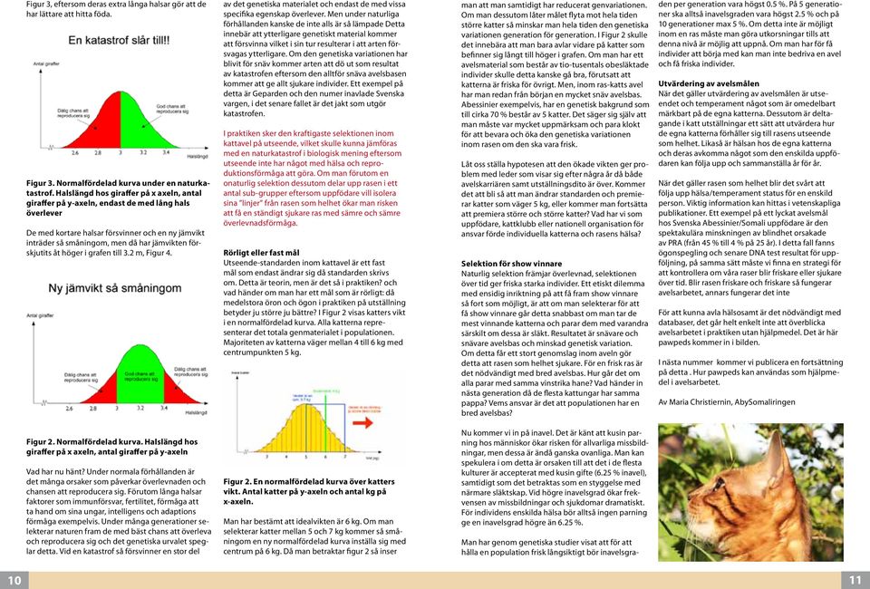 förskjutits åt höger i grafen till 3.2 m, Figur 4. av det genetiska materialet och endast de med vissa specifika egenskap överlever.