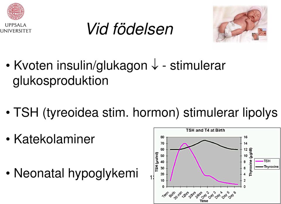 (tyreoidea stim.