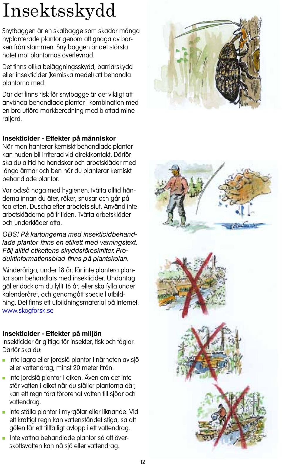 Där det fis risk för sytbagge är det viktigt att aväda behadlade plator i kombiatio med e bra utförd markberedig med blottad mieraljord.