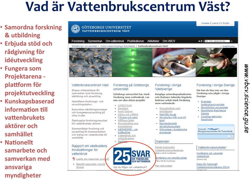 Fungera som Projektarena - pla@orm för projektutveckling Kunskapsbaserad