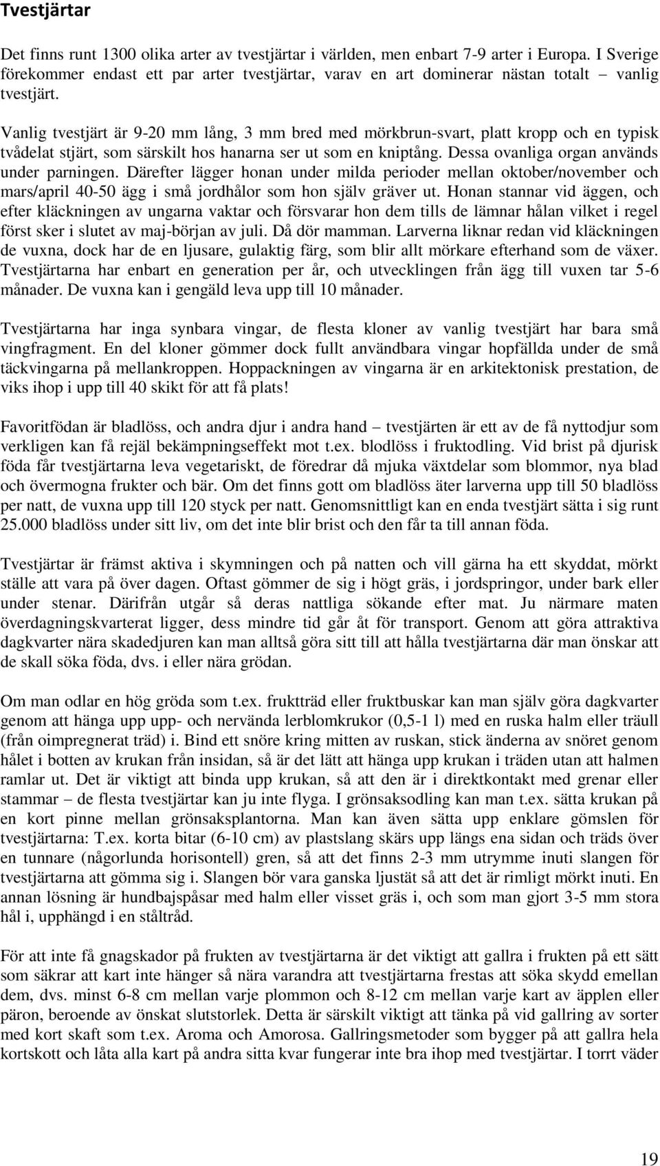 Vanlig tvestjärt är 9-20 mm lång, 3 mm bred med mörkbrun-svart, platt kropp och en typisk tvådelat stjärt, som särskilt hos hanarna ser ut som en kniptång.