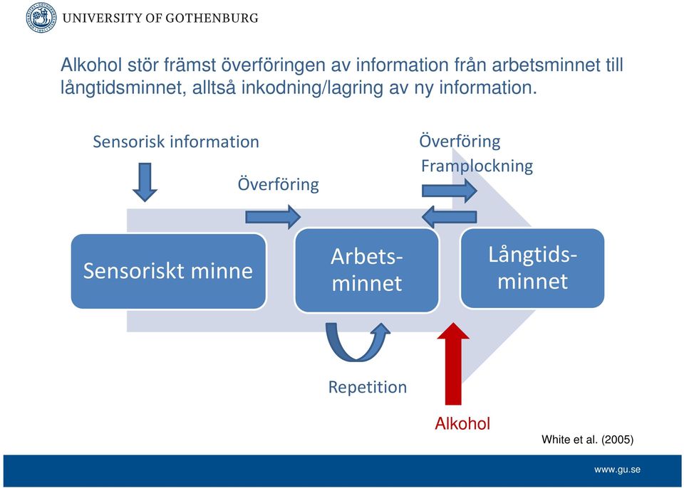 Sensorisk information Överföring Överföring Framplockning