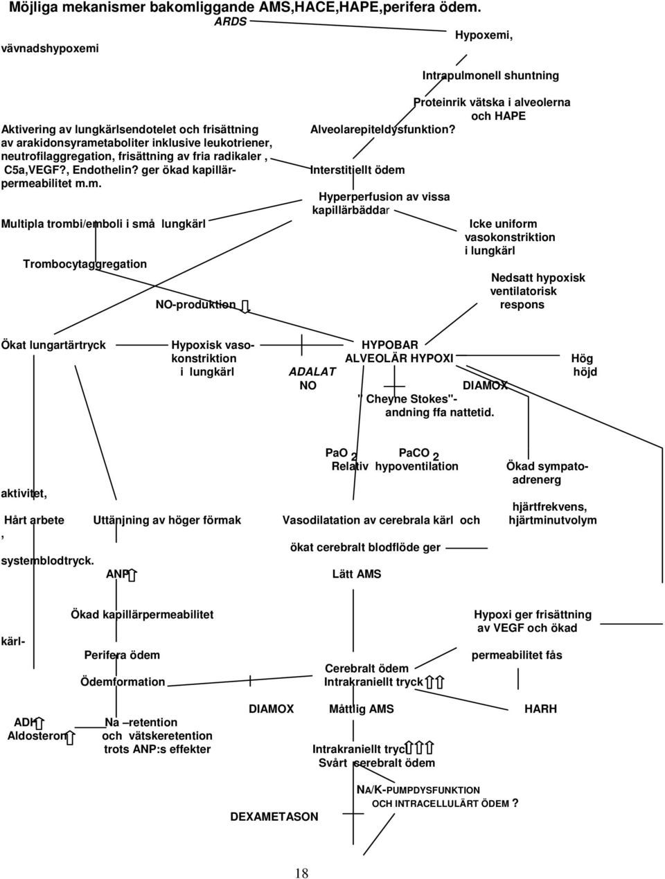 radikaler, C5a,VEGF?, Endothelin? ger ökad kapillärpermeabilitet m.m. Multipla trombi/emboli i små lungkärl Trombocytaggregation NO-produktion Proteinrik vätska i alveolerna och HAPE Alveolarepiteldysfunktion?