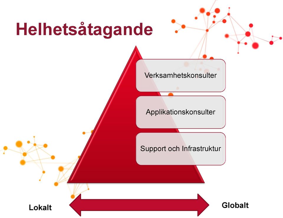 Applikationskonsulter