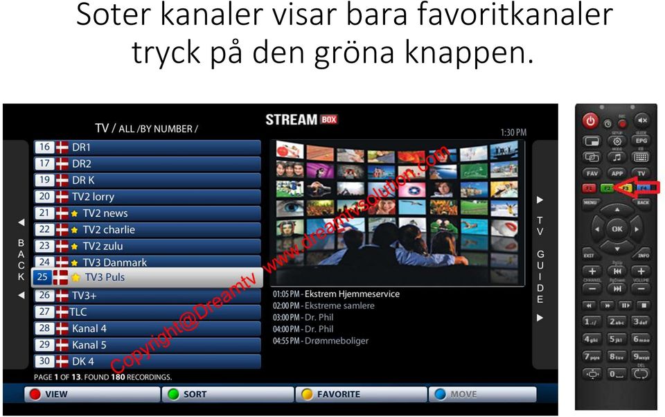 favoritkanaler