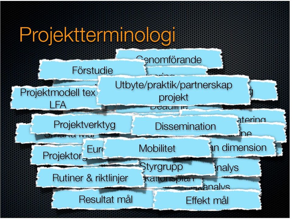 Utvärdering/uppföljning Milstolpe Smarta Mål Ansökan GANT plan European dimension Mobilitet European added value SWOT