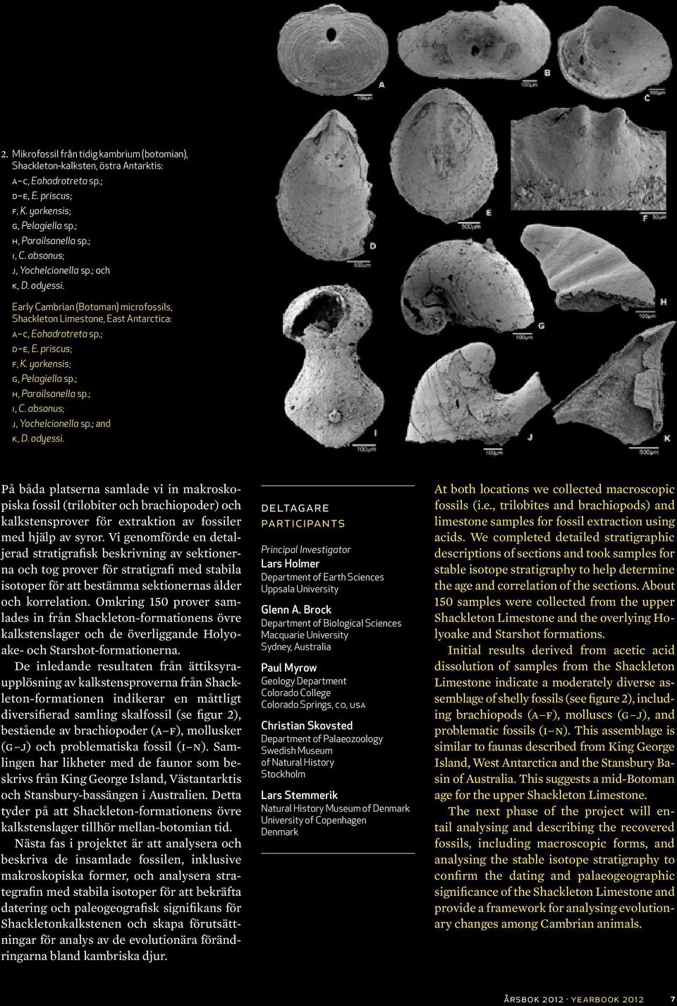 yorkensis; G, Pelagiella sp.; H, Parailsanella sp.; I, C. absonus; J, Yochelcionella sp.; and K, D. odyessi.