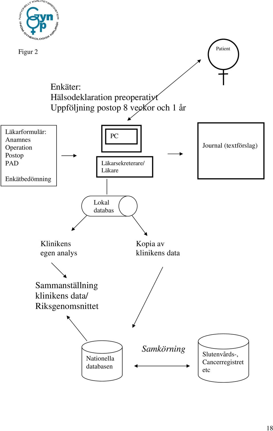 (textförslag) Lokal databas Klinikens egen analys Kopia av klinikens data Sammanställning