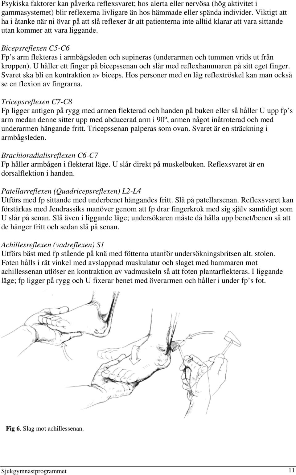 Bicepsreflexen C5-C6 Fp s arm flekteras i armbågsleden och supineras (underarmen och tummen vrids ut från kroppen). U håller ett finger på bicepssenan och slår med reflexhammaren på sitt eget finger.