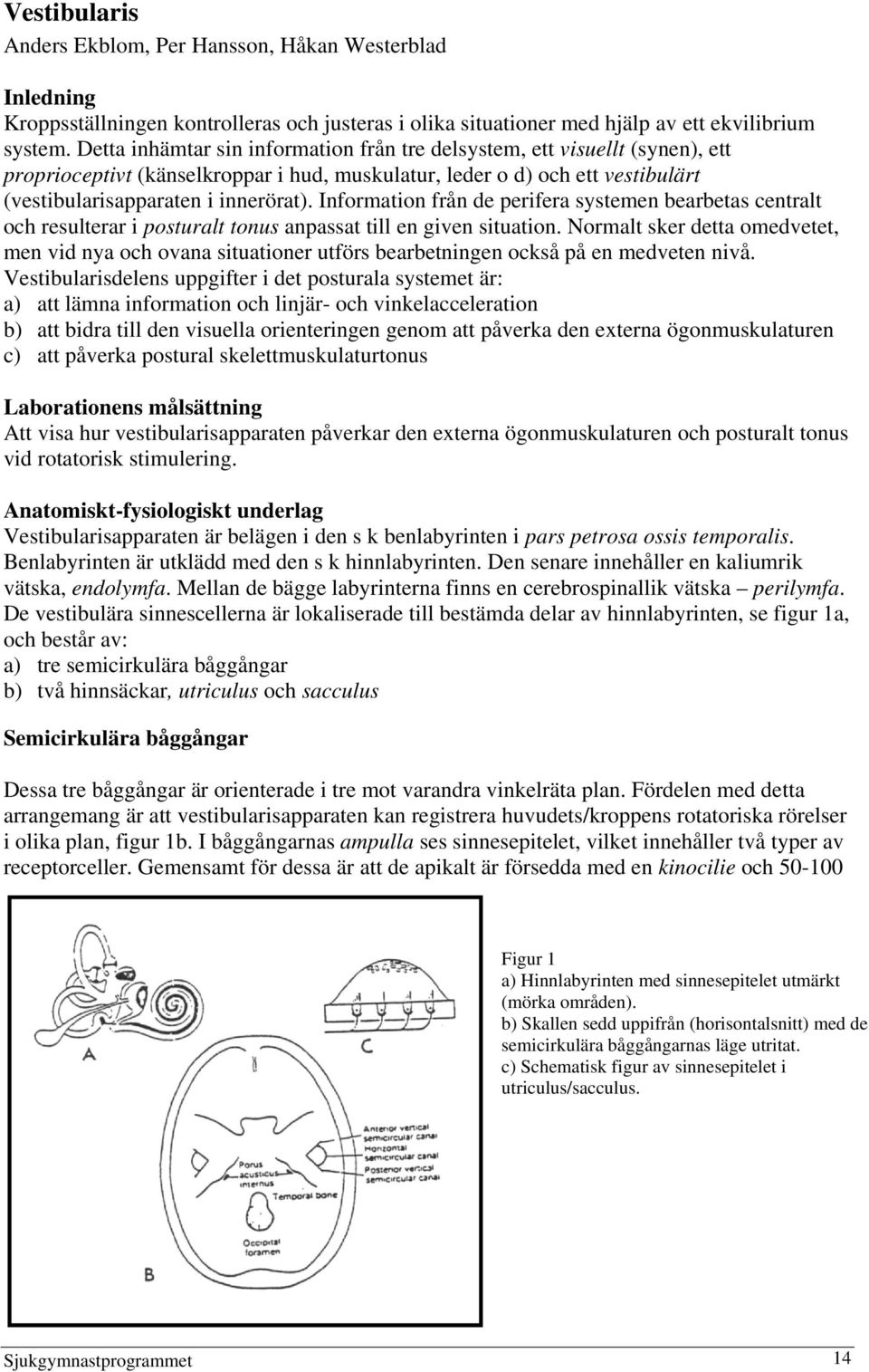 Information från de perifera systemen bearbetas centralt och resulterar i posturalt tonus anpassat till en given situation.