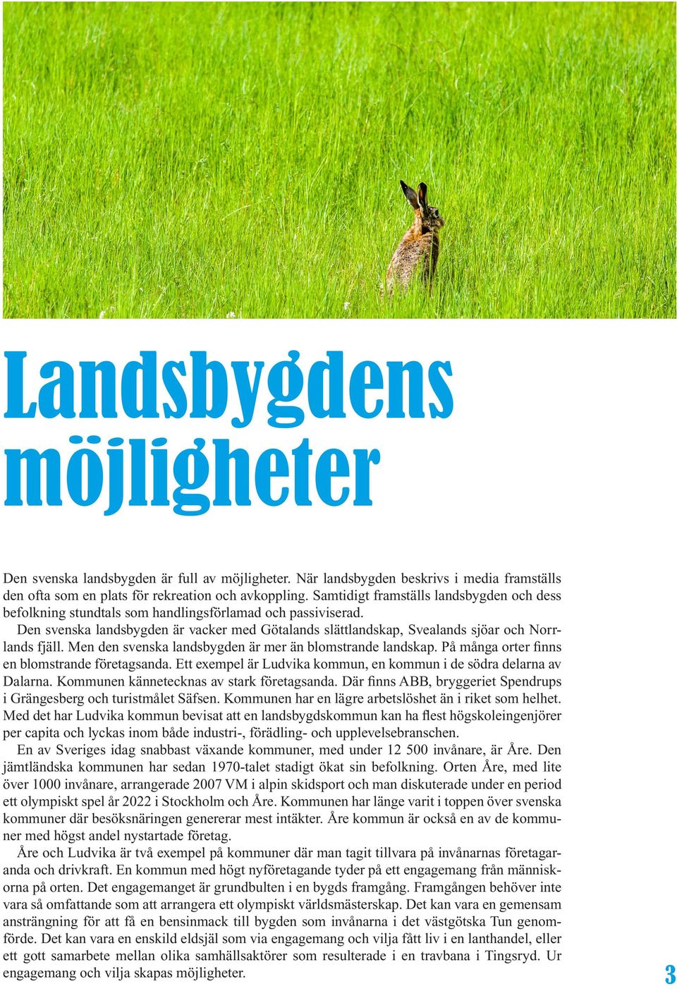 Den svenska landsbygden är vacker med Götalands slättlandskap, Svealands sjöar och Norrlands fjäll. Men den svenska landsbygden är mer än blomstrande landskap.