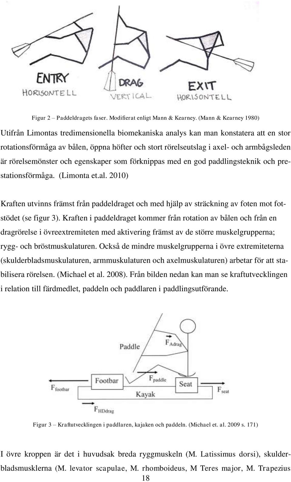 rörelsemönster och egenskaper som förknippas med en god paddlingsteknik och prestationsförmåga. (Limonta et.al.