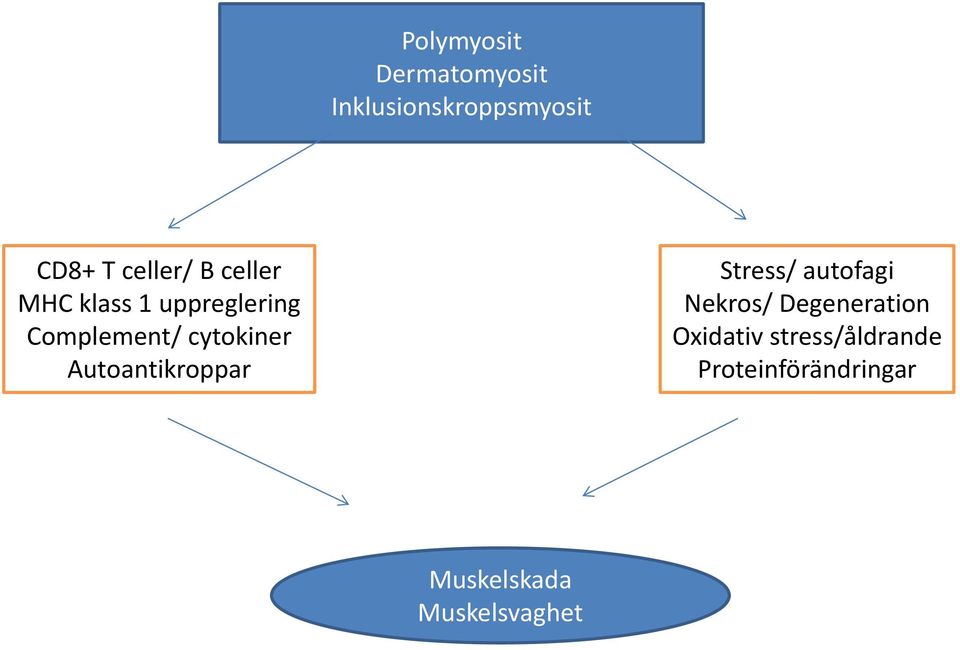 cytokiner Autoantikroppar Stress/ autofagi Nekros/