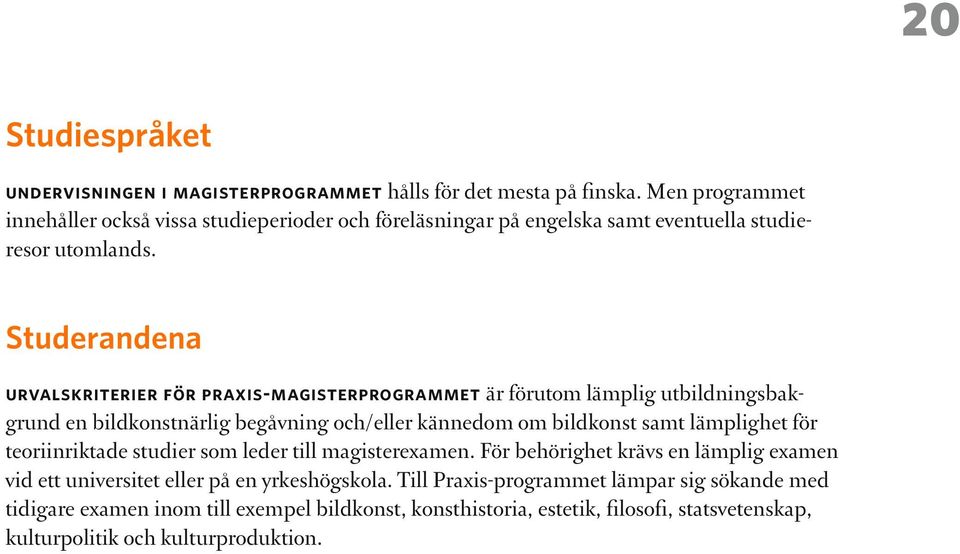 Studerandena urvalskriterier för praxis-magisterprogrammet är förutom lämplig utbildningsbakgrund en bildkonstnärlig begåvning och/eller kännedom om bildkonst samt lämplighet