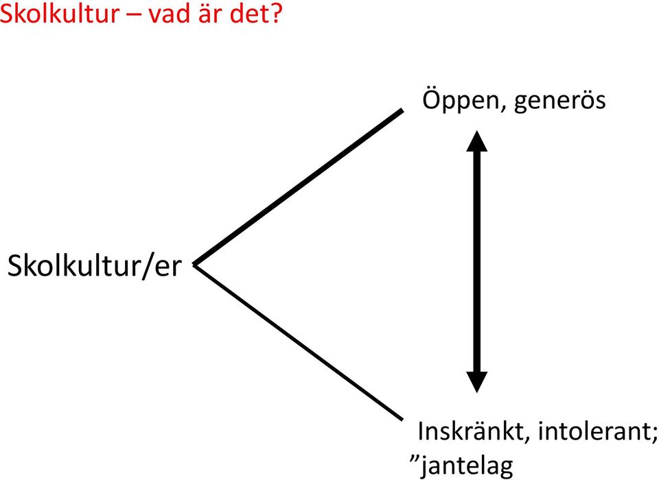 Skolkultur/er