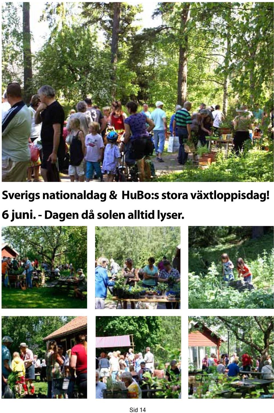 växtloppisdag! 6 juni.