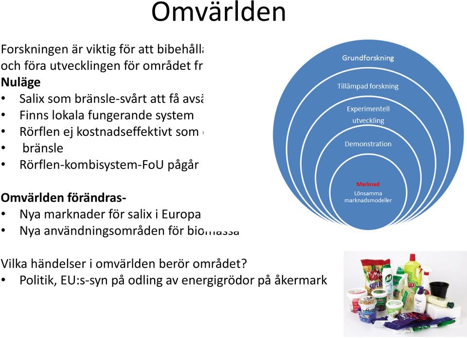 som enbart bränsle Rörflen-kombisystem-FoU pågår Omvärlden förändras- Nya marknader för salix i Europa Nya