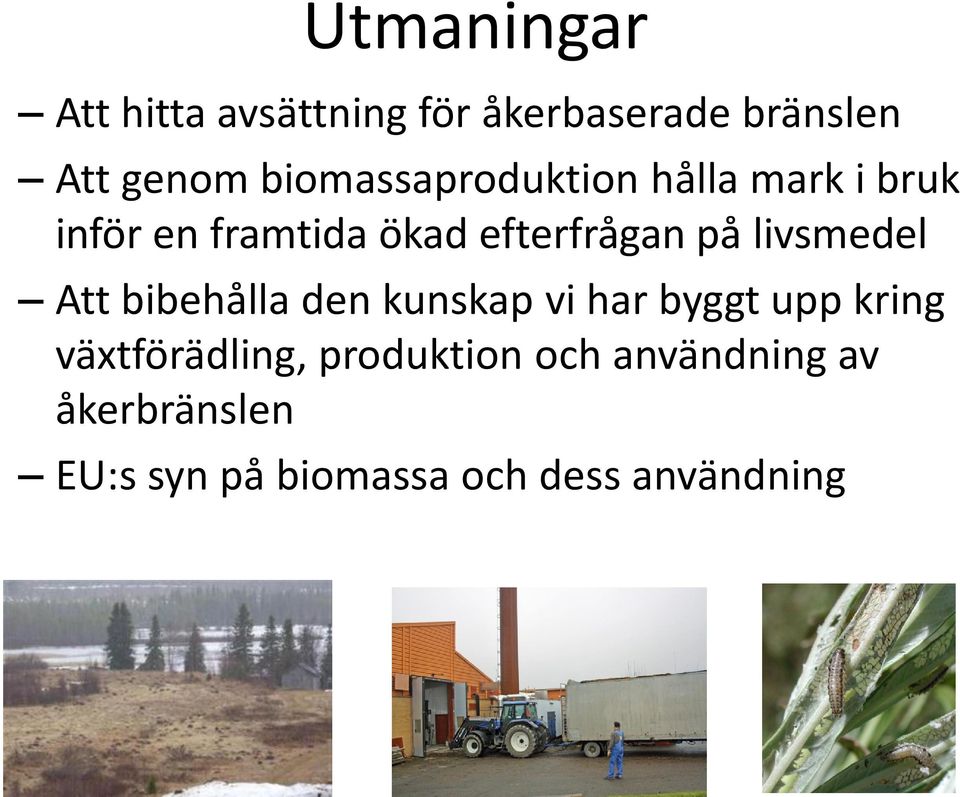 livsmedel Att bibehålla den kunskap vi har byggt upp kring växtförädling,