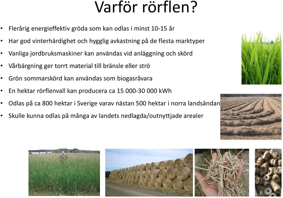 marktyper Vanliga jordbruksmaskiner kan användas vid anläggning och skörd Vårbärgning ger torrt material till bränsle eller strö