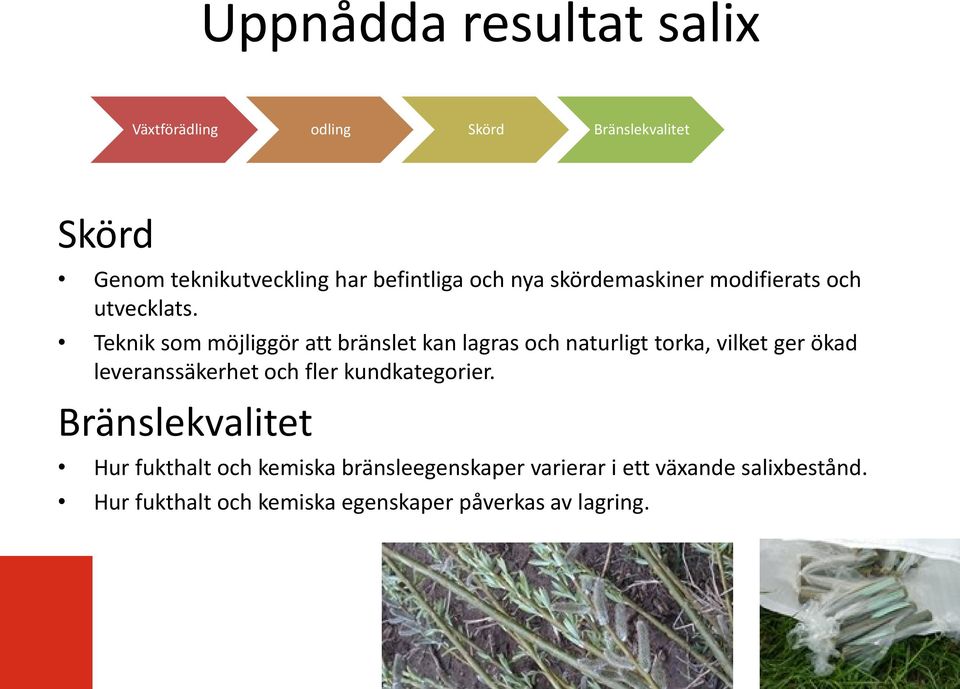 Teknik som möjliggör att bränslet kan lagras och naturligt torka, vilket ger ökad leveranssäkerhet och fler