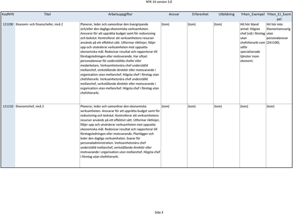 Utformar riktlinjer, följer upp och utvärderar verksamheten mot uppsatta ekonomiska mål. Redovisar resultat och rapporterar till företagsledningen eller motsvarande.