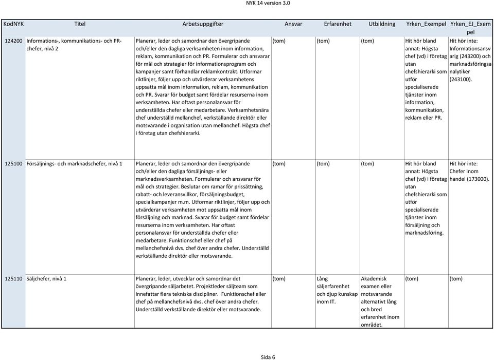 Utformar riktlinjer, följer upp och utvärderar verksamhetens uppsatta mål inom information, reklam, kommunikation och PR. Svarar för budget samt fördelar resurserna inom verksamheten.