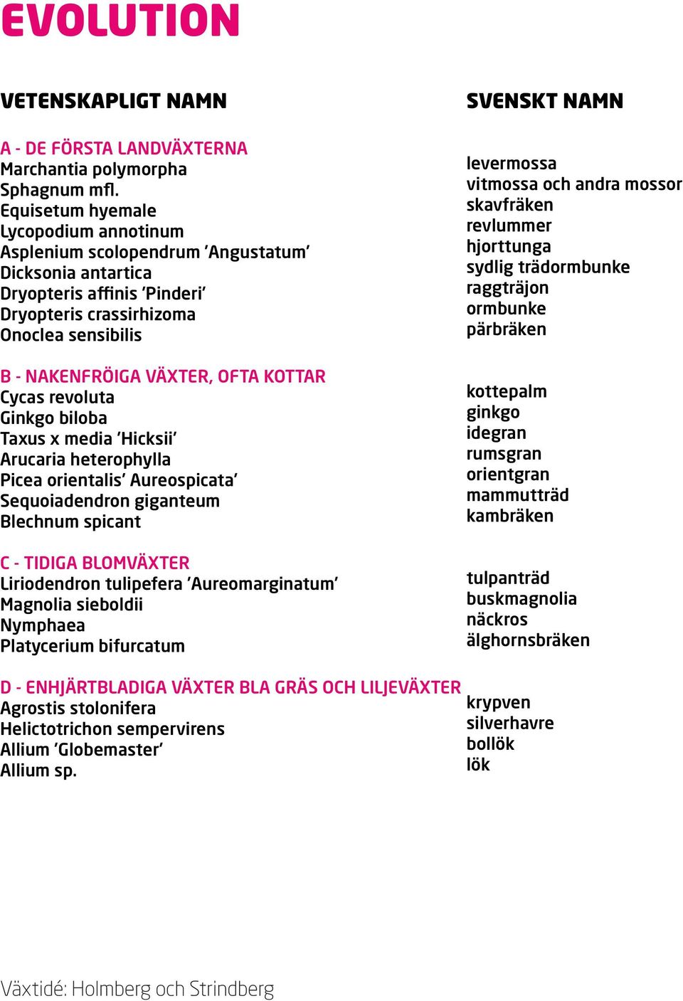 Cycas revoluta Ginkgo biloba Taxus x media Hicksii Arucaria heterophylla Picea orientalis Aureospicata Sequoiadendron giganteum Blechnum spicant C - TIDIGA BLOMVÄXTER Liriodendron tulipefera