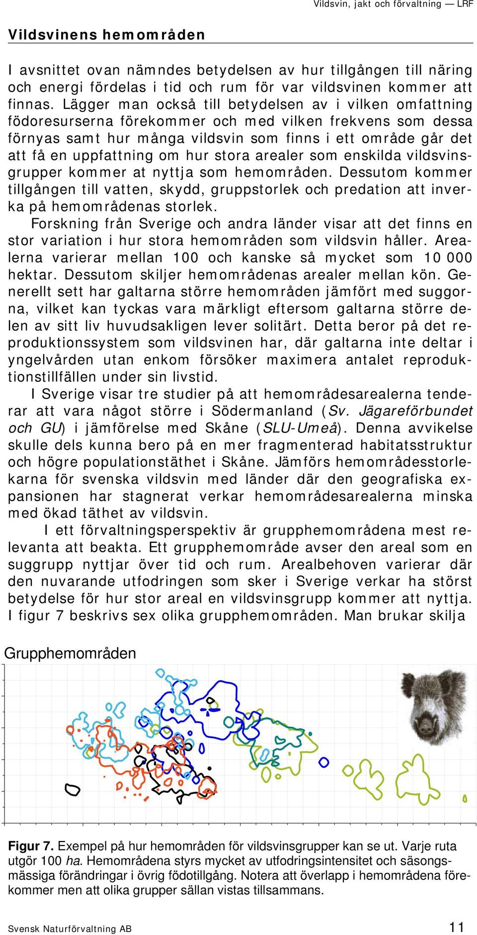 uppfattning om hur stora arealer som enskilda vildsvinsgrupper kommer at nyttja som hemområden.