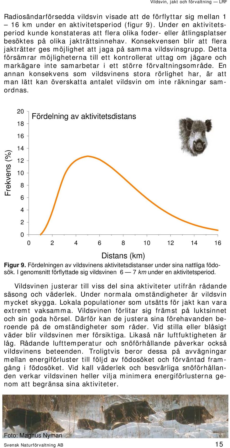 Konsekvensen blir att flera jakträtter ges möjlighet att jaga på samma vildsvinsgrupp.