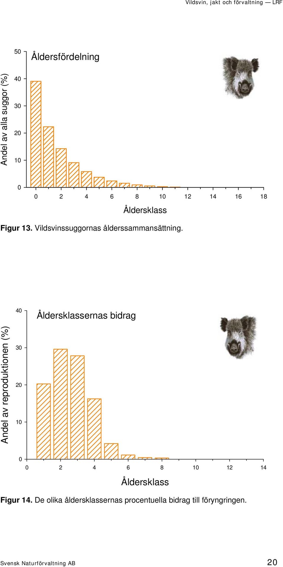 40 Åldersklassernas bidrag Andel av reproduktionen (%) 30 20 10 0 0 2 4 6 8 10 12 14