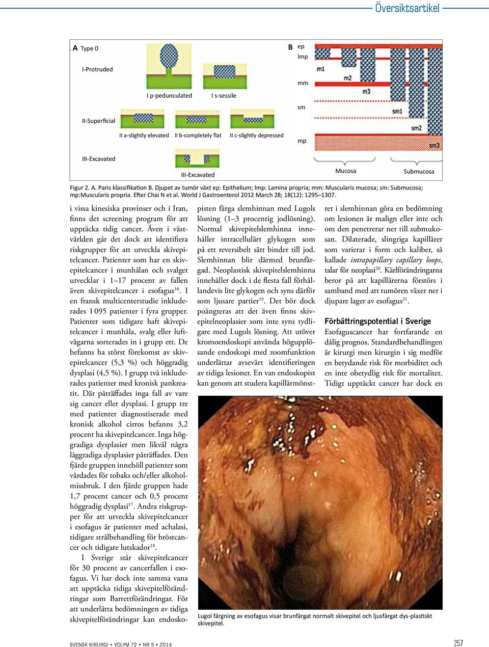 World J Gastroenterol 2012 March 28; 18(12): 1295 1307. i vissa kinesiska provinser och i Iran, finns det screening program för att upptäcka tidig cancer.