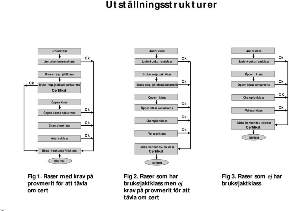 jaktklass konkurrens Öppen klass Öppen klass konkurrens Championklass Veteranklass Öppen klass konkurrens Championklass Veteranklass Bästa hanhunds-/tikklass Certifikat BIR/BIM CK Bästa