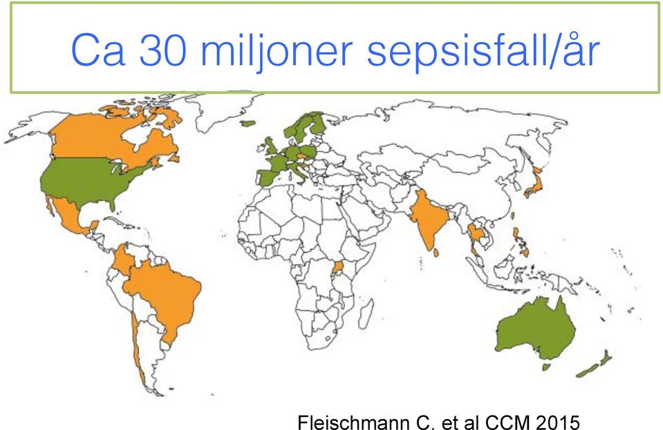 Fleischmann C.