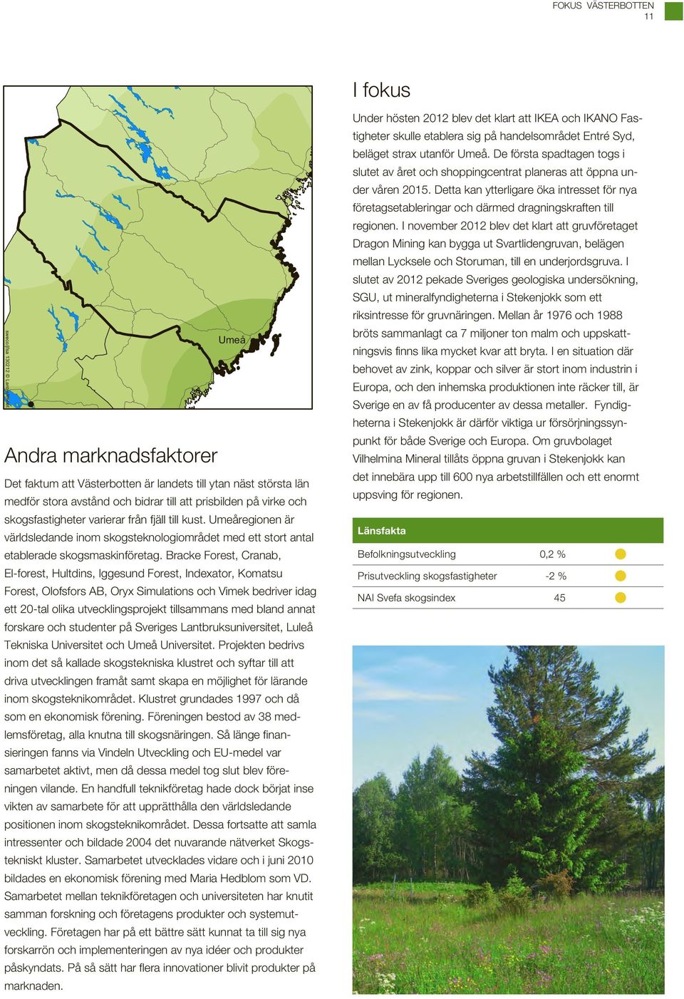 Bracke Forest, Cranab, El-forest, Hultdins, Iggesund Forest, Indexator, Komatsu Forest, Olofsfors AB, Oryx Simulations och Vimek bedriver idag ett 20-tal olika utvecklingsprojekt tillsammans med