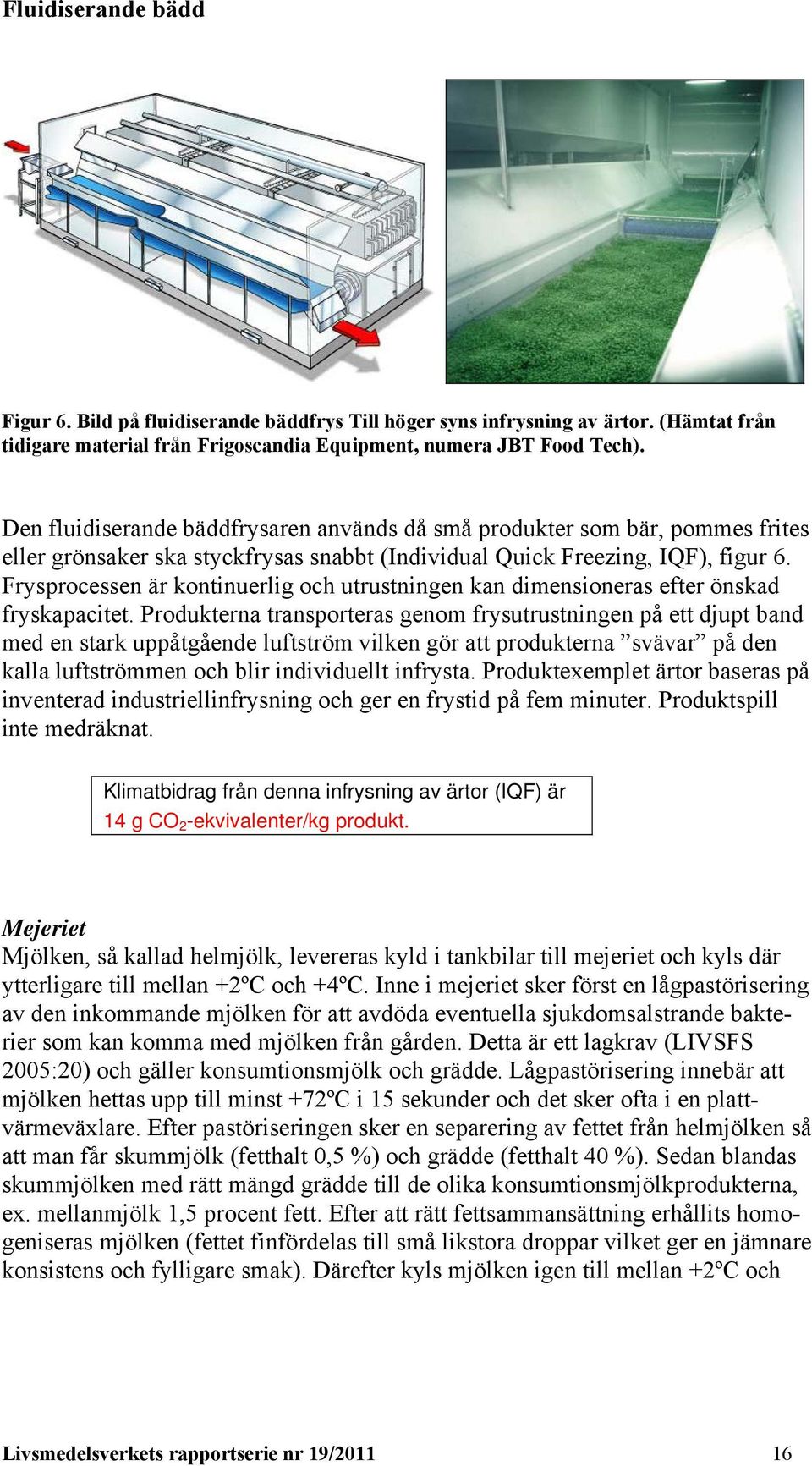 Frysprocessen är kontinuerlig och utrustningen kan dimensioneras efter önskad fryskapacitet.