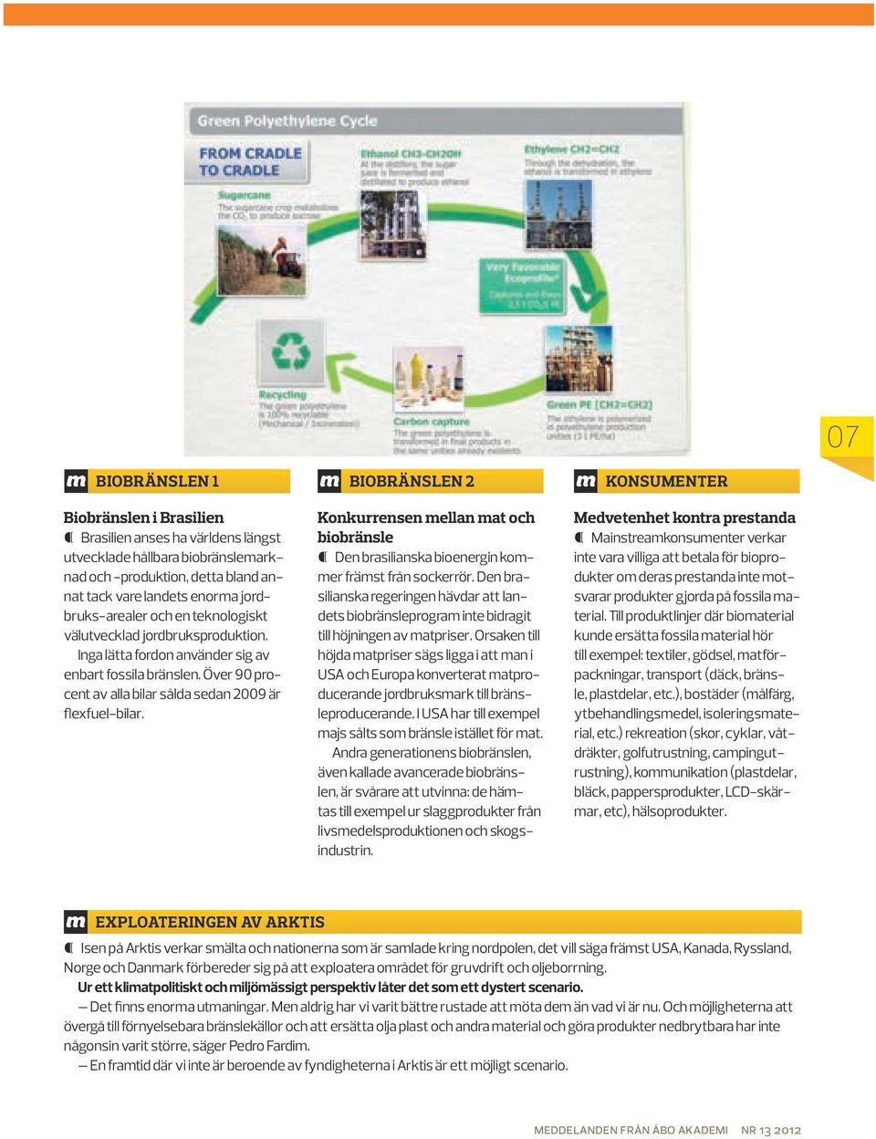 biobränslen 2 Konkurrensen mellan mat och biobränsle Den brasilianska bioenergin kommer främst från sockerrör.