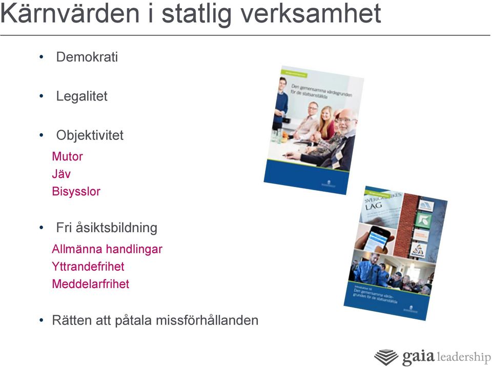 åsiktsbildning Allmänna handlingar