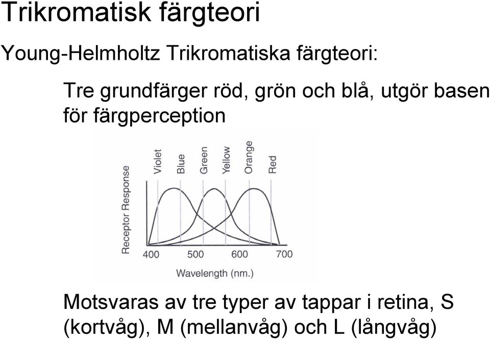 basen för färgperception Motsvaras av tre typer av