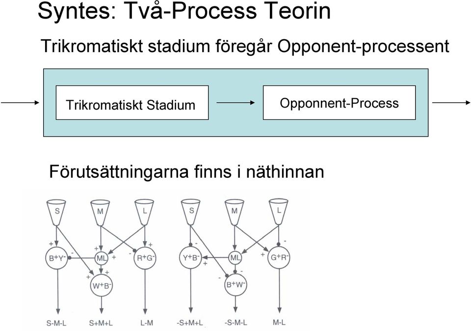 Opponent-processent Trikromatiskt