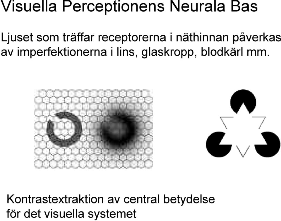 imperfektionerna i lins, glaskropp, blodkärl mm.