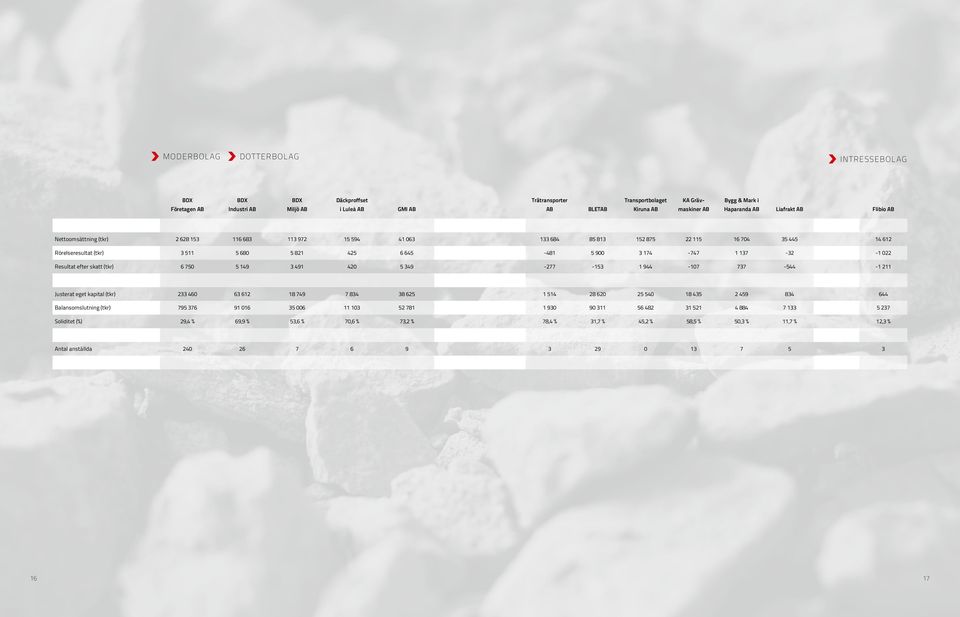 645-481 5 900 3 174-747 1 137-32 -1 022 Resultat efter skatt (tkr) 6 750 5 149 3 491 420 5 349-277 -153 1 944-107 737-544 -1 211 Justerat eget kapital (tkr) 233 460 63 612 18 749 7 834 38 625 1 514